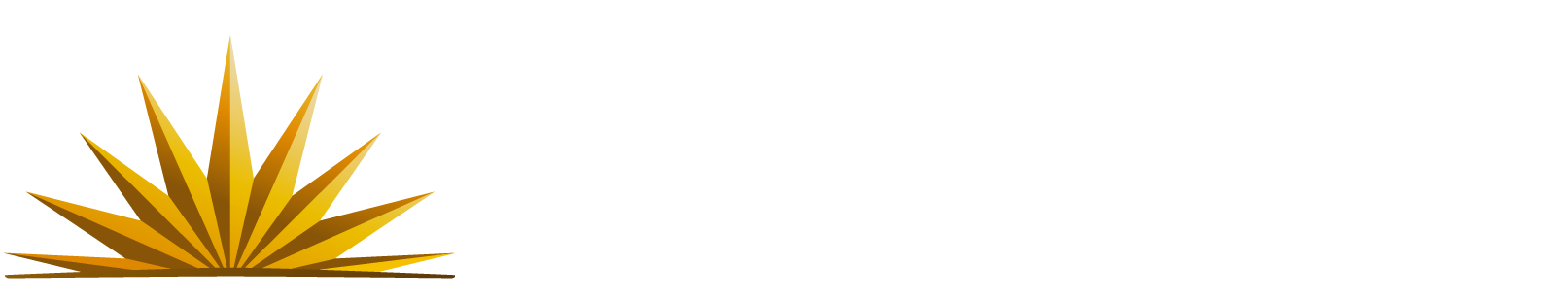 CETU